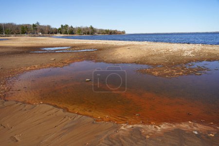 Téléchargez les photos : Étangs d'eau développés sur la plage pendant la basse saison des marées. - en image libre de droit