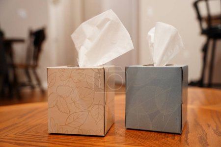 Téléchargez les photos : Des boîtes de Kleenexs s'assoient sur une table basse. - en image libre de droit