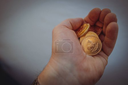 Téléchargez les photos : Dans une main sont de nombreuses pièces d'or Krugerrand - en image libre de droit