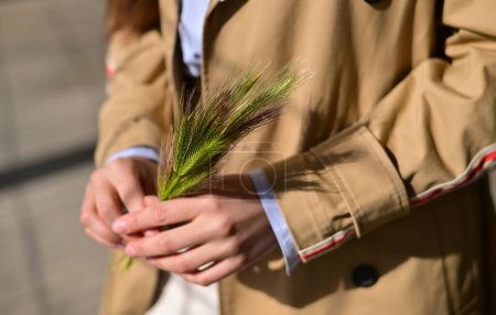 Photo for A woman is holding ears of barley in her hands.Mature barley stalks in hand. Concept: agriculture, grains, harvest. - Royalty Free Image
