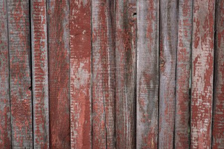 Textur alter rustikaler, ramponierter roter senkrechter Bretter. Hintergrund der rot und grau abblätternden bemalten Holzwand