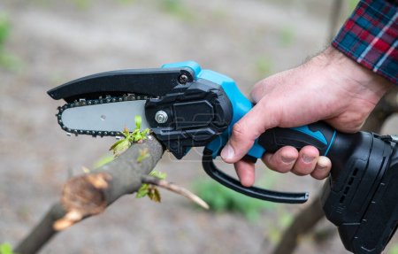 Téléchargez les photos : Main tient la scie à chaîne légère avec batterie pour couper la branche cassée d'un arbre, par temps ensoleillé - en image libre de droit