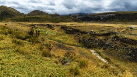 Téléchargez les photos : Équateur, Parc national de Cotopaxi, paysage de prairies paramo - en image libre de droit