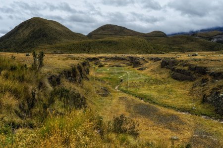 Téléchargez les photos : Équateur, Parc national de Cotopaxi, paysage de prairies paramo - en image libre de droit
