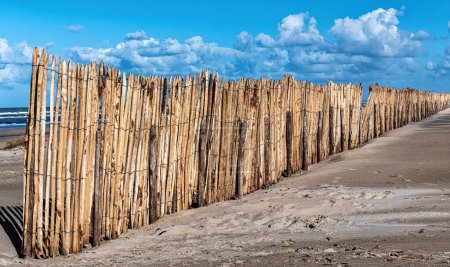 Photo for Beach with multiple fences of wooden stakes (poles). They mark the places where local ventures build up their restaurants, terraces and cafes in the summertime. - Royalty Free Image