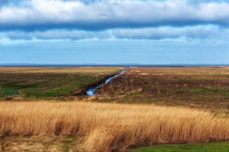Foto de Holwerterpolder es una parte única del sitio del Patrimonio Mundial del Mar de Wadden por la UNESCO. - Imagen libre de derechos