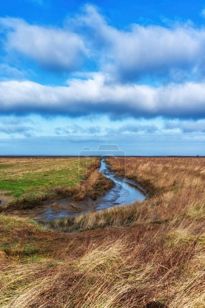 Foto de Holwerterpolder es una parte única del sitio del Patrimonio Mundial del Mar de Wadden por la UNESCO. - Imagen libre de derechos