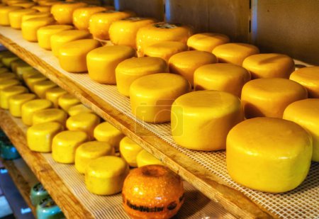 Téléchargez les photos : Fromage hollandais jaune exposé à la vente aux Pays-Bas - en image libre de droit