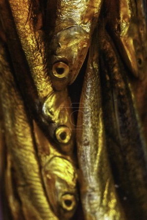 Photo for Close up Jars of canned fish lined up in a row - Royalty Free Image