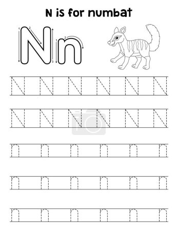 Illustration for A cute and funny tracing page of a Numbat. Provides hours of tracing fun for children. To trace, this page is very easy. Suitable for little kids and toddlers. - Royalty Free Image