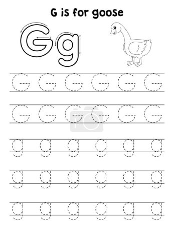 A cute and funny tracing page of a Goose. Provides hours of tracing fun for children. To trace, this page is very easy. Suitable for little kids and toddlers.
