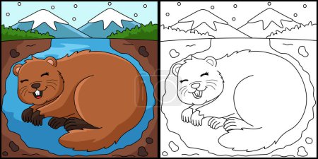 Illustration for This coloring page shows a Groundhog Hibernating. One side of this illustration is colored and serves as an inspiration for children. - Royalty Free Image