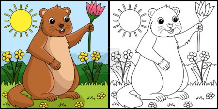 Illustration for This coloring page shows a Groundhog Holding Flower. One side of this illustration is colored and serves as an inspiration for children. - Royalty Free Image