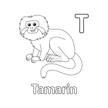 Téléchargez les illustrations : Cette image vectorielle ABC montre une page à colorier Tamarin Animal. Il est isolé sur un fond blanc. Parfait pour les enfants et les élèves du primaire pour apprendre l'alphabet et toutes ses lettres. - en licence libre de droit