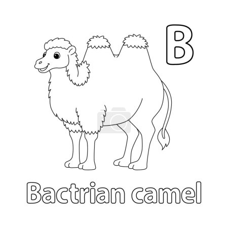 Téléchargez les illustrations : Cette image vectorielle ABC montre une page de coloriage de chameau bactérien. Il est isolé sur un fond blanc. Parfait pour les enfants et les élèves du primaire pour apprendre l'alphabet et toutes ses lettres. - en licence libre de droit