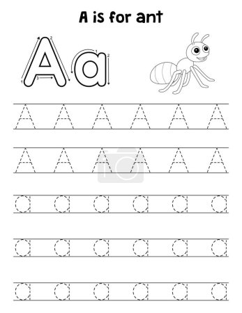 A cute and funny tracing page of a Ant. Provides hours of tracing fun for children. To trace, this page is very easy. Suitable for little kids and toddlers.