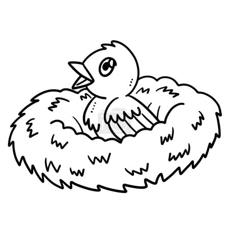 Ilustración de Una página para colorear lindo y divertido de un bebé pájaro sentado en el nido. Proporciona horas de diversión para colorear para los niños. Color, esta página es muy fácil. Apto para niños pequeños y niños pequeños. - Imagen libre de derechos