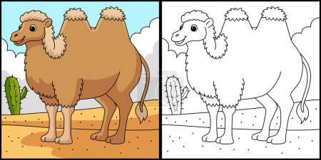Téléchargez les illustrations : This coloring page shows a Bactrian Camel Animal. One side of this illustration is colored and serves as an inspiration for children. - en licence libre de droit