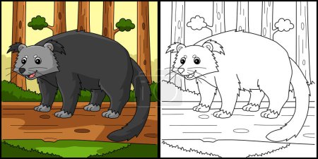 Illustration for This coloring page shows a Binturong Animal. One side of this illustration is colored and serves as an inspiration for children. - Royalty Free Image