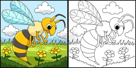 Illustration for This coloring page shows a Hornet Animal. One side of this illustration is colored and serves as an inspiration for children. - Royalty Free Image