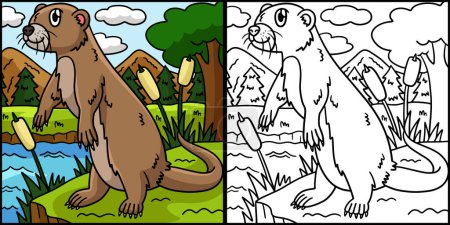 This coloring page shows a River Otter. One side of this illustration is colored and serves as an inspiration for children.