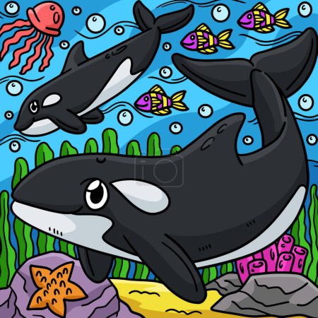 Illustration for This cartoon clipart shows a Killer Whale illustration. - Royalty Free Image