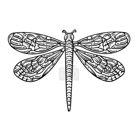 Téléchargez les illustrations : A cute and beautiful coloring page of a Dragonfly Spring. Provides hours of coloring fun for adults. - en licence libre de droit