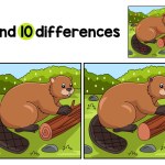 Find or spot the differences on this Beaver Animal kids activity page. A funny and educational puzzle-matching game for children.