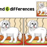 Find or spot the differences on this Maltese Dog Kids activity page. It is a funny and educational puzzle-matching game for children.