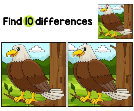 Find or spot the differences on this Eagle Animal kids activity page. A funny and educational puzzle-matching game for children.