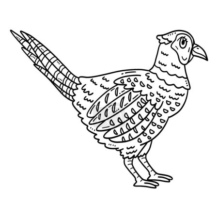 Illustration for A cute and funny coloring page of a Common Pheasant Bird. Provides hours of coloring fun for children. To color, this page is very easy. Suitable for little kids and toddlers. - Royalty Free Image