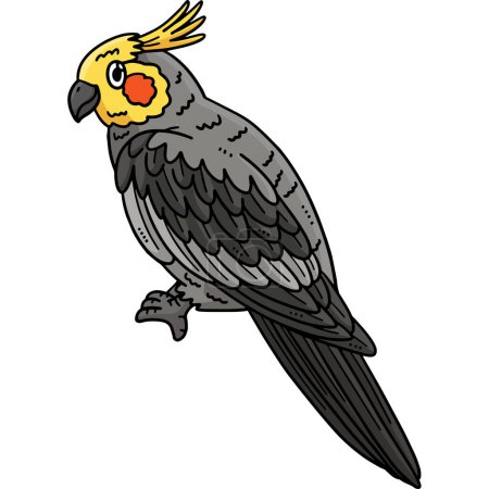Ce clipart de bande dessinée montre une illustration Cockatiel Bird.