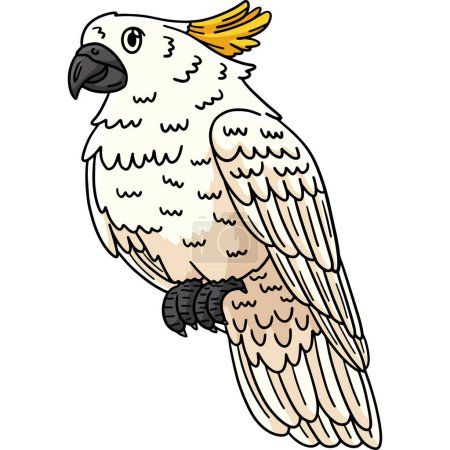 This cartoon clipart shows a Cockatoo Bird illustration.