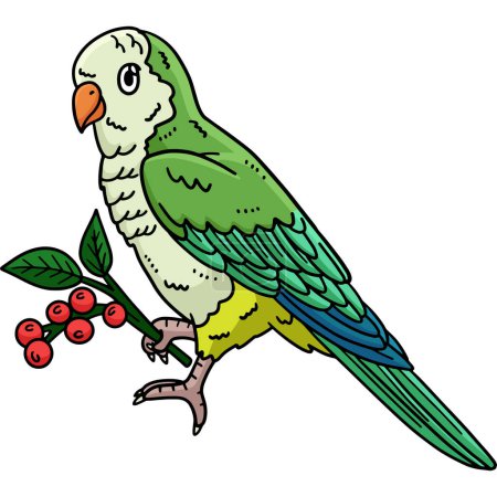 This cartoon clipart shows a Monk Parakeet Bird illustration.