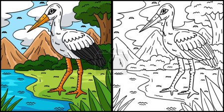 This coloring page shows a White Stork Bird. One side of this illustration is colored and serves as an inspiration for children.