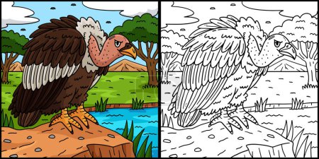 This coloring page shows a Vulture Bird. One side of this illustration is colored and serves as an inspiration for children.