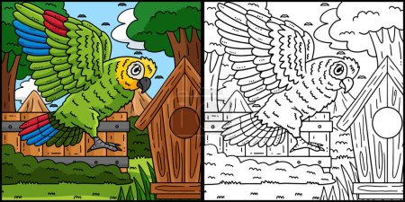Diese Malseite zeigt einen Amazonas Papageienvogel. Eine Seite dieser Illustration ist farbig und dient Kindern als Inspiration.