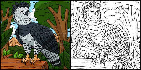 This coloring page shows a Harpy Eagle Bird. One side of this illustration is colored and serves as an inspiration for children.