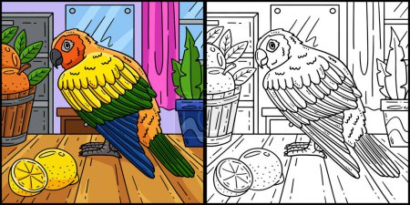 Esta página para colorear muestra un pájaro Conure. Un lado de esta ilustración es de color y sirve como inspiración para los niños.
