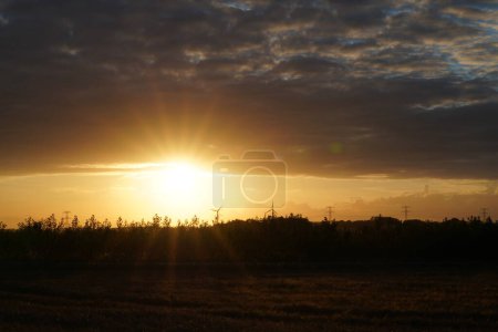 Photo for Scenic view of golden sunset over field - Royalty Free Image