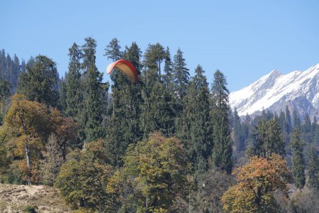 Foto de Paracaidista sobrevolando el bosque - Imagen libre de derechos