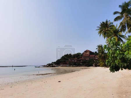 Téléchargez les photos : Belle plage tropicale avec palmiers et ciel bleu - en image libre de droit