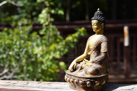 Téléchargez les photos : Gros plan de la statue de bouddha dans le jardin. - en image libre de droit