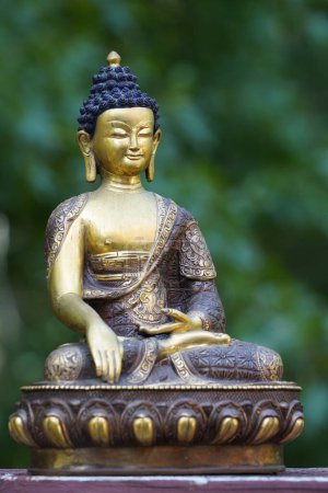 Téléchargez les photos : Vue rapprochée de la statue de Bouddha - en image libre de droit