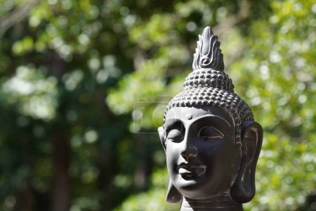Téléchargez les photos : Statue de bouddha dans le parc - en image libre de droit
