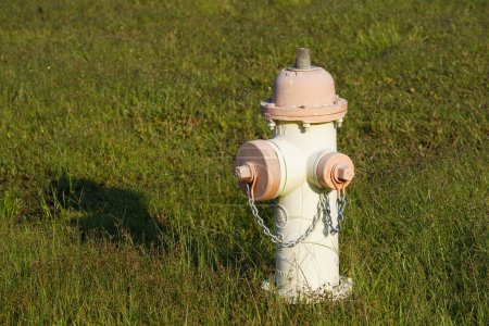 Téléchargez les photos : Bouche d'incendie vintage dans un champ - en image libre de droit