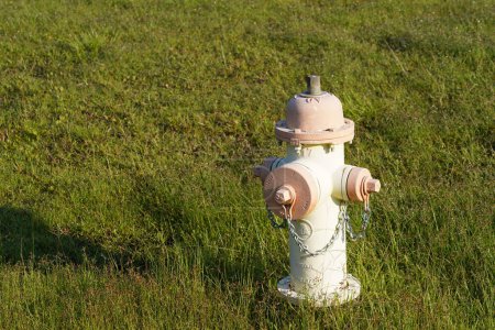 Photo for Vintage old style fire hydrant in a field - Royalty Free Image