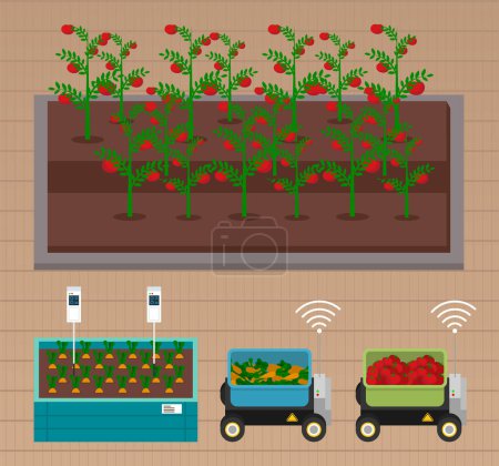 Illustration for Smart farming, gardening or agriculture. Seedlings planting to garden bed on smart farming. Growing tomatoes and carrots using modern technology, use of greenhouses. Level neat tomato bushes beds - Royalty Free Image