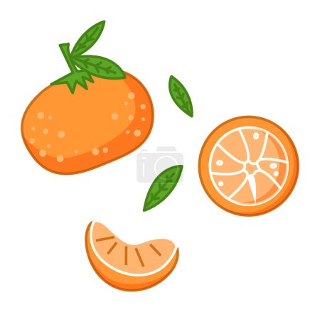 Ilustración de Mandarinas frescas con ilustración de vectores de hojas verdes. Mandarina madura de cítricos naranja sobre fondo blanco. Ajuste con fruta entera y media, una pieza, lóbulo jugoso. Alimento tropical orgánico vitamínico - Imagen libre de derechos