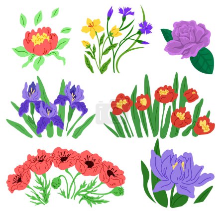 Illustration for Spring flower vector illustration. The blooming flowers symbolized rejuvenation nature in spring The botanical garden was sanctuary tranquility amidst blooming flowers The spring flower concept - Royalty Free Image